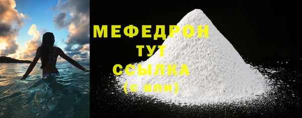 трава Няндома