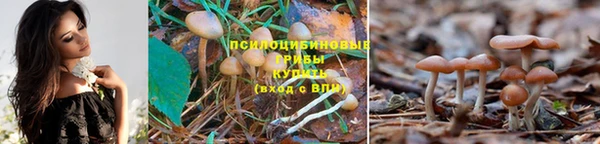 наркотики Осинники