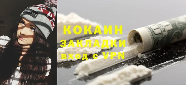 шишки Осташков