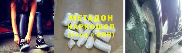 трава Няндома