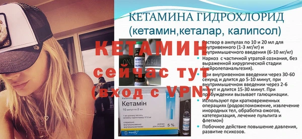 трава Няндома