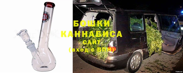 трава Няндома