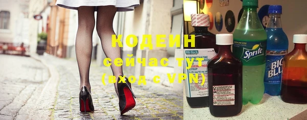 трава Няндома