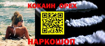 дмт Донской