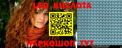 дмт Донской