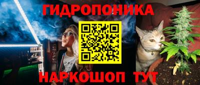 дмт Донской
