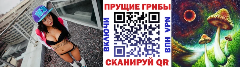 Псилоцибиновые грибы Psilocybine cubensis  MEGA   Кудрово 