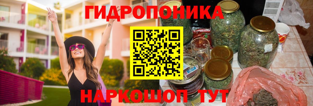 МАРИХУАНА OG Kush  Бошки Шишки гибрид  Шишки марихуана марихуана  Кудрово  Вход с VPN 